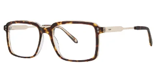 024 Tortoise
