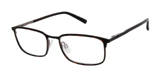 Ted Baker Eyeglasses TM516