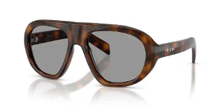 20D50Q Juniper Tortoise