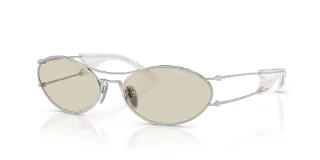 1BC41B Silver
