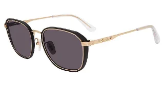 Police Sunglasses SPLD46