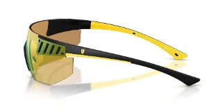 Ferrari Scuderia Sunglasses FZ6035U
