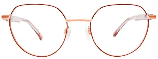 Easyclip Eyeglasses EC578