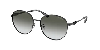 Michael Kors Sunglasses MK1119