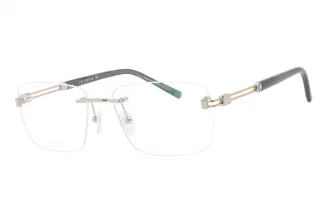 C02 Shiny Silver/Gold / Clear Lens