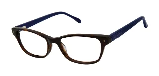 TOR Tortoise