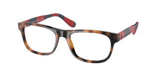 5303 Shiny Jc Tortoise