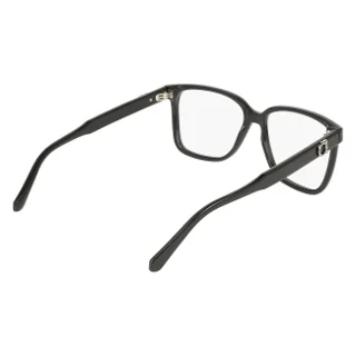 Salvatore Ferragamo Eyeglasses SF3043E