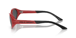 Polo Sunglasses PH4197U