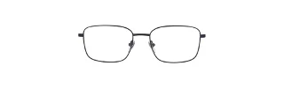 Ducks Unlimited Eyeglasses Badge