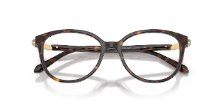 Swarovski Eyeglasses SK2070F