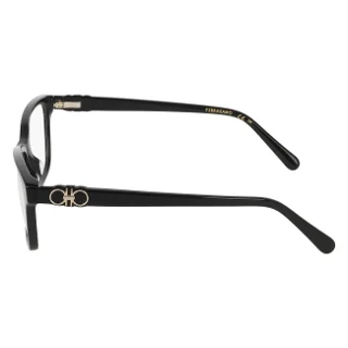Salvatore Ferragamo Eyeglasses SF3071