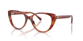 2083 Soft Amber Tortoise