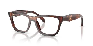 14P1O1 Caramel Tortoise