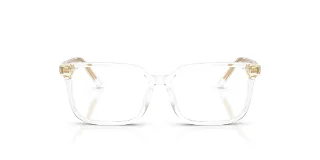 Dolce & Gabbana Eyeglasses DX3003