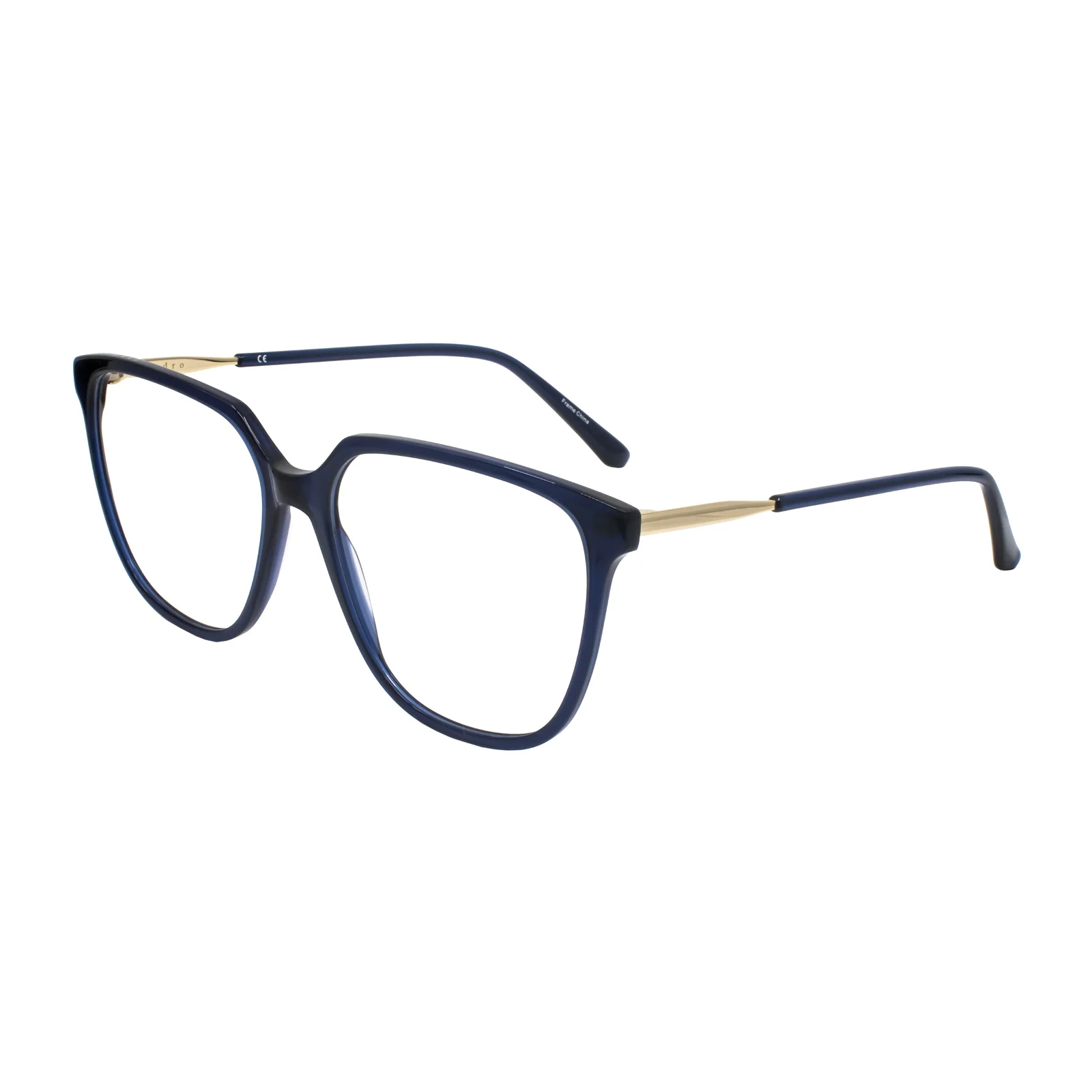 Sandro Eyeglasses SD 2029