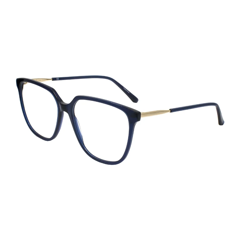 Sandro Eyeglasses SD 2029