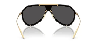 Dolce & Gabbana Sunglasses DG2309