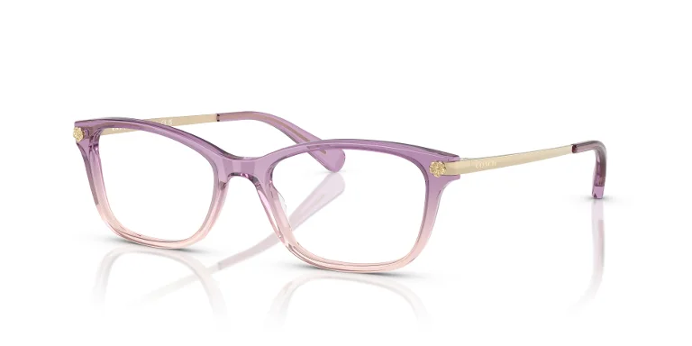 Coach Eyeglasses HC6142