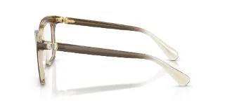 Swarovski Eyeglasses SK2043