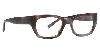 Tortoise [Tor]