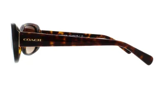 Coach Sunglasses HC8168 L156