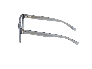 Abercrombie & Fitch Eyeglasses AF50036