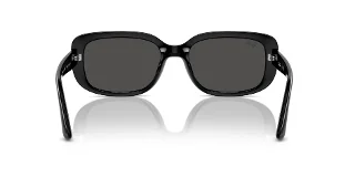 Ray Ban Sunglasses RB4421D