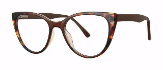 brown tortoise