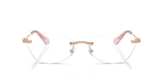 Swarovski Eyeglasses SK1031