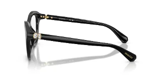 Swarovski Eyeglasses SK2042U