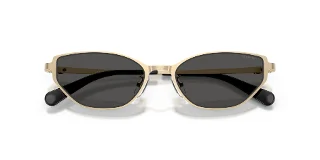 Coach Sunglasses HC7196D