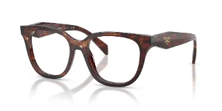 14P1O1 Caramel Tortoise