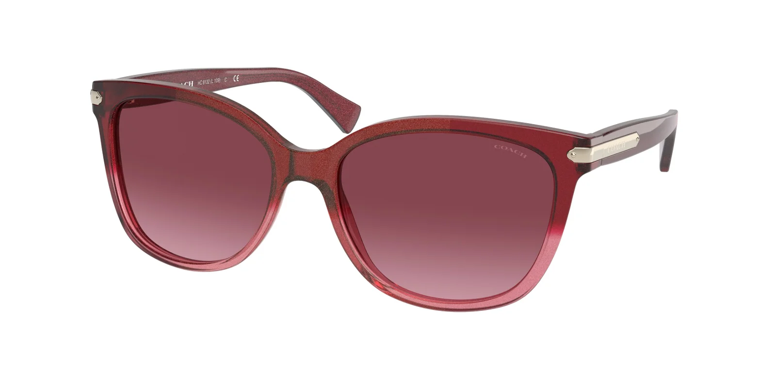 Coach Sunglasses HC8132