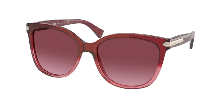 Coach Sunglasses HC8132