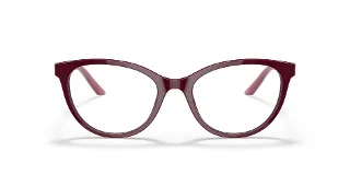 Prada Eyeglasses PR17WV