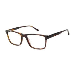 Aristar Eyeglasses AR 18654