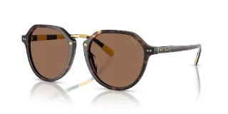 500373 Shiny Dark Havana