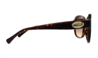 Coach Sunglasses HC8150 L133