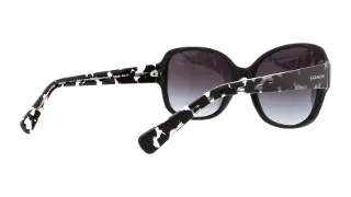 Coach Sunglasses HC8166 L154