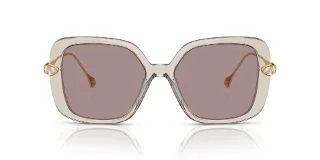 Swarovski Sunglasses SK6011
