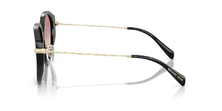 Michael Kors Sunglasses MK2248D