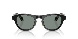 Giorgio Armani Sunglasses AR8225