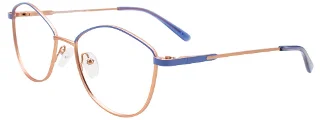 050 FWM00758 Blue 5317