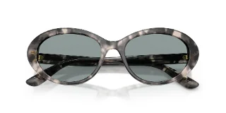 Dolce & Gabbana Sunglasses DG4570