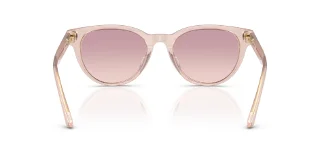 Jimmy Choo Sunglasses JC5043D
