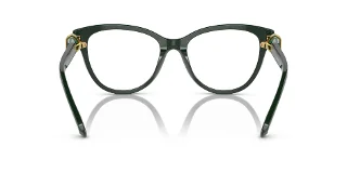 Swarovski Eyeglasses SK2004
