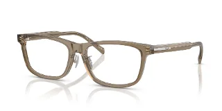 18T1O1 Transparent Brown