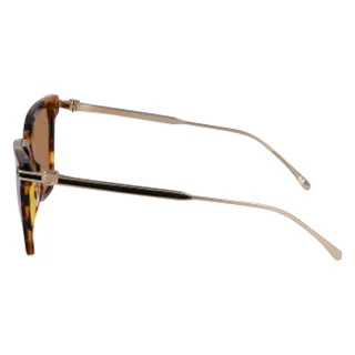 Salvatore Ferragamo Sunglasses SF2036S