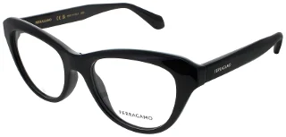 Salvatore Ferragamo Eyeglasses SF2989E